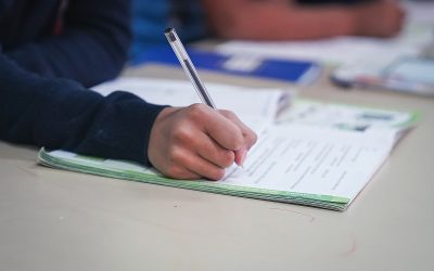 Profi: Nouă ani de responsabilitate socială