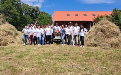 Voluntarii Ursus Breweries creează un mediu primitor pentru adulții cu dizabilități sprijiniți de United Way