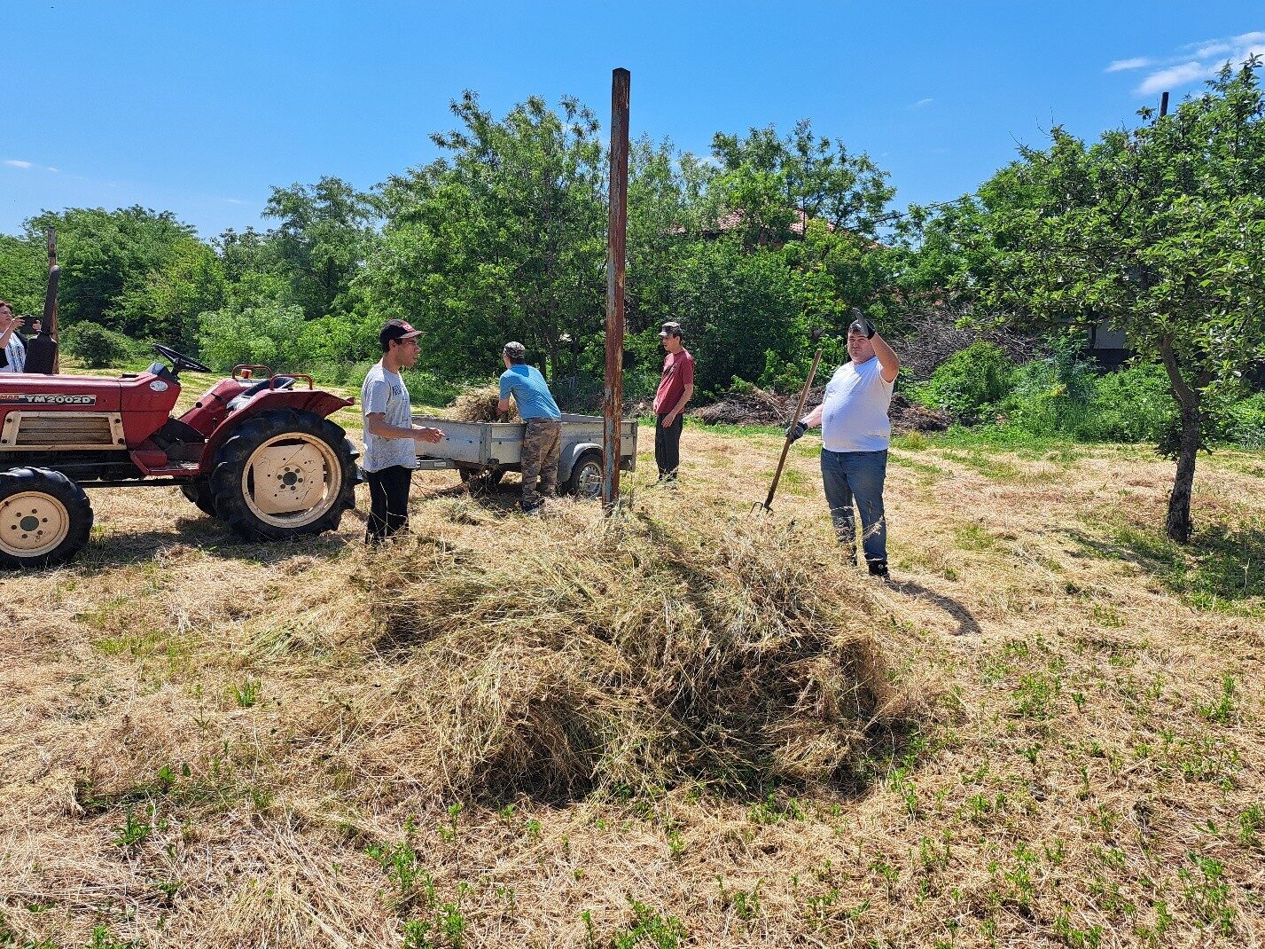 Metropolitan Life se implică activ pentru o lume mai bună – împreună cu United Way